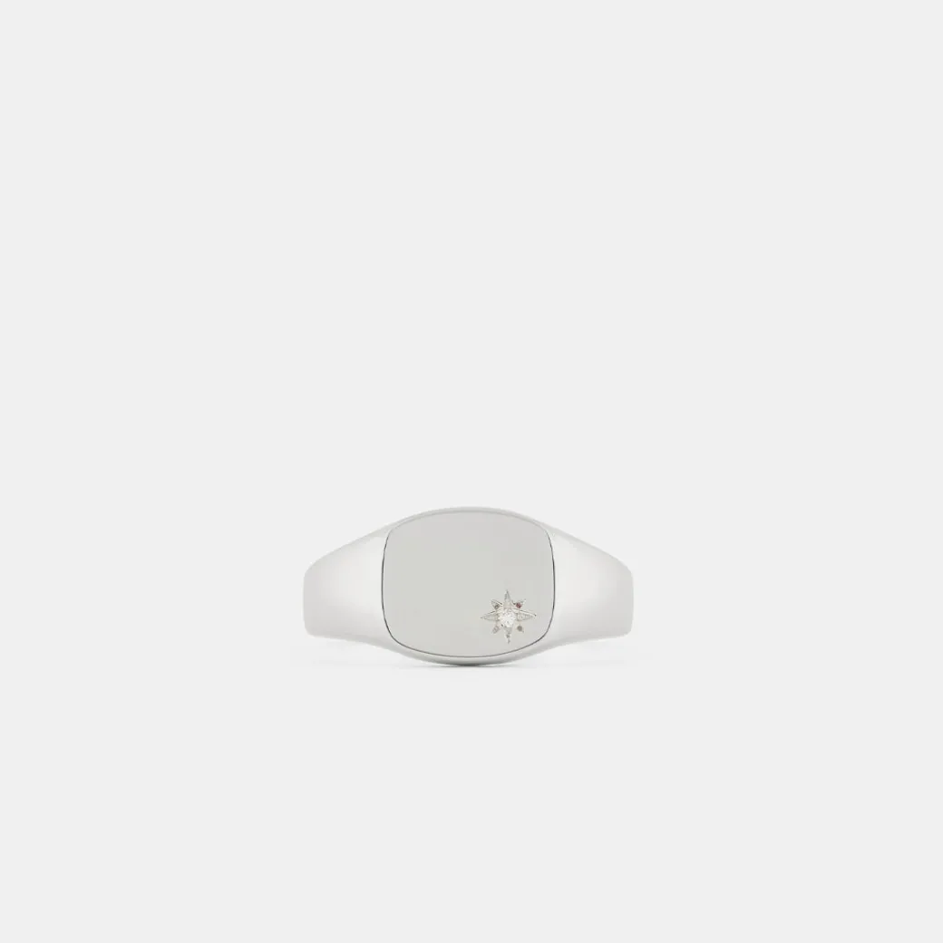 Silver Diamond Birthstone Ring