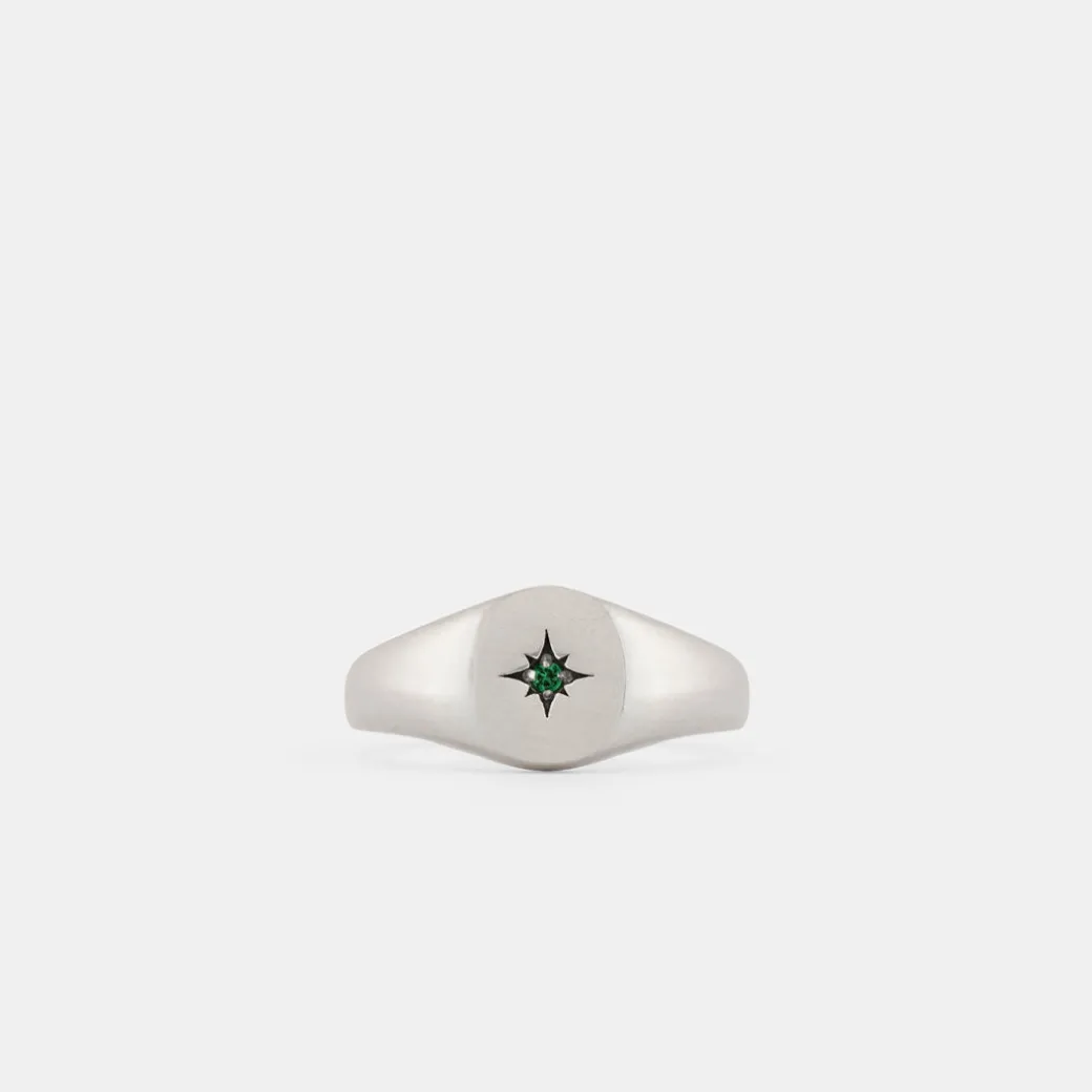 Silver Envy Signet Ring
