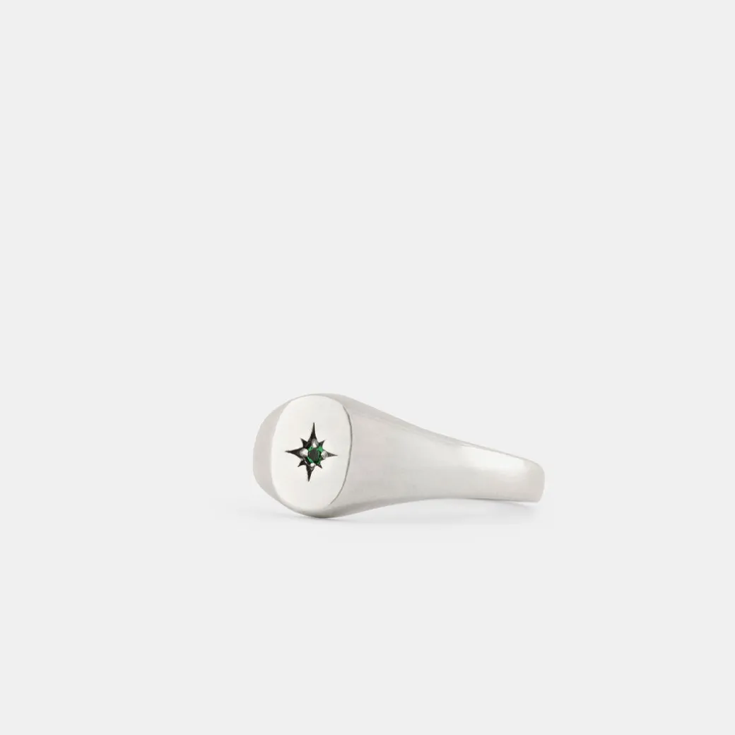 Silver Envy Signet Ring